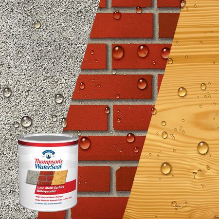 Thompson's WaterSeal Clear Water-Based Multi-Surface Waterproofer 1 qt
