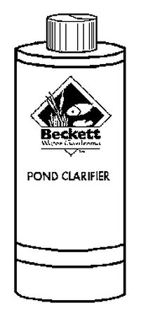 Beckett Pond Clarifier