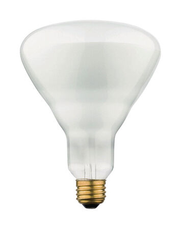 Westinghouse 65 W BR40 Floodlight Incandescent Bulb E26 (Medium) Soft White 6 pk