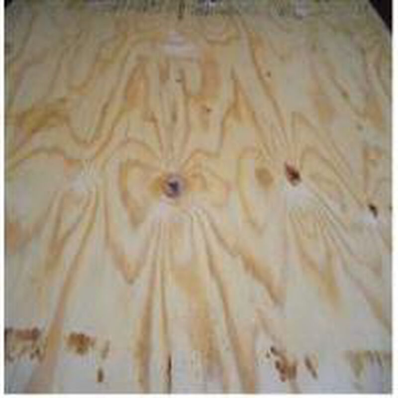 Plywood Cdx Rated Sheating 4 X 8 X 15 32 Stine Home Yard The Family You Can Build Around