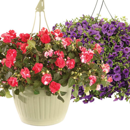 Basket Hanging Asst 10"