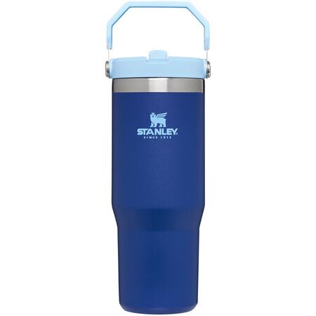 Stanley IceFlow 30 oz Lapis BPA Free Insulated Straw Tumbler