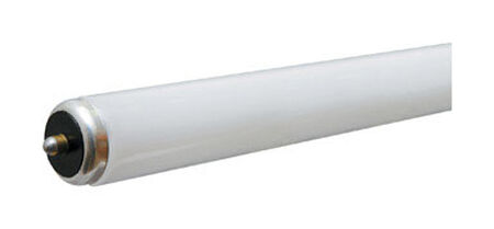 FEIT Electric Fluorescent Bulb 75 watts 5000 lumens Linear T12 96 in. L Cool White 1 pk