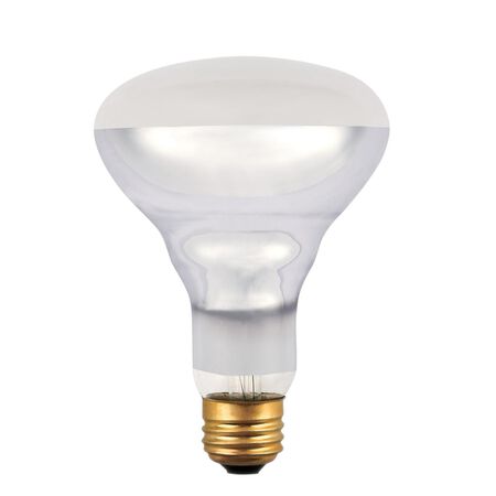 Westinghouse 65 W BR30 Floodlight Incandescent Bulb E26 (Medium) White 1 pk
