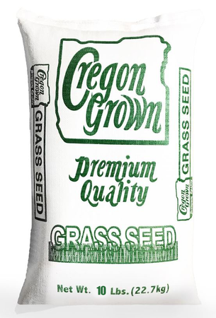 Ryegrass Grass Seed 10lb