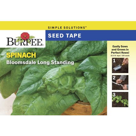 Burpee Bloomsdale Long Standing Spinach Vegetable Seeds