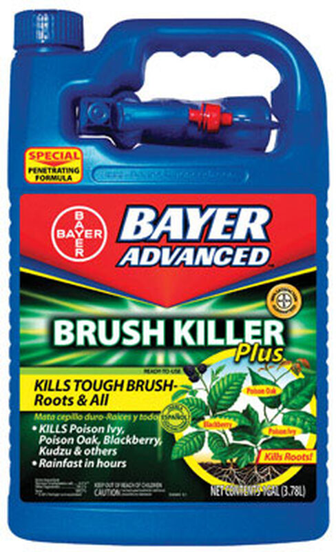 Bayer Advanced Brush Killer Plus 1 gal. | Stine Home + Yard : The Family You Can Build Around™