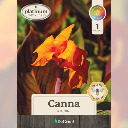 Plant DeGroot Canna Bulb Wyoming Orange 1pk