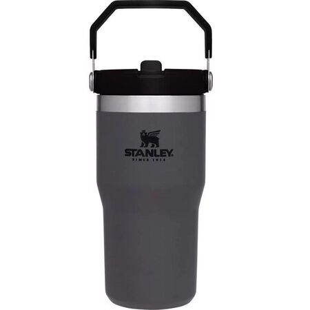 Stanley The IceFlow 20 oz Charcoal BPA Free Double-wall vacuum insulation Insulated Straw Tumbler