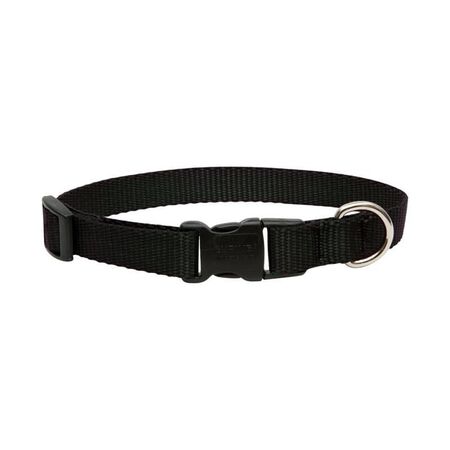 LupinePet Basic Solids Black Black Nylon Dog Adjustable Collar