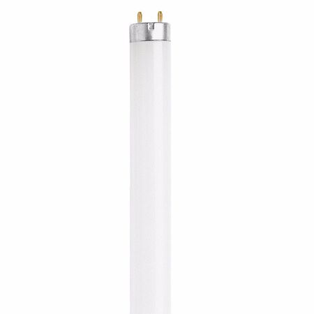 Feit Electric 15 W T8 18 in. L Fluorescent Bulb Cool White Linear 4100 K 1 pk