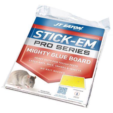 JT Eaton Stick-Em Pro Series Small Glue Board Trap For Insects/Rodents/Snakes 1 pk