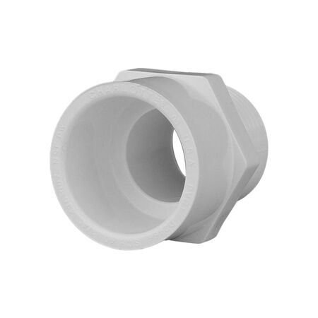 Charlotte Pipe Schedule 40 3/4 in. Slip X 3/4 in. D MPT PVC Pipe Adapter 1 pk