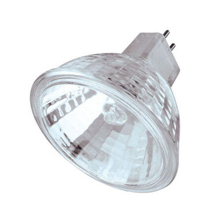 Westinghouse 50 watts 500 lumens 3050 K GU5.3 Floodlight Clear MR16 Halogen Light Bulb