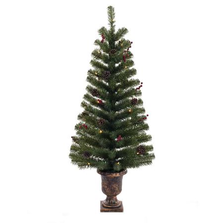Celebrations 4 ft. Northern Pine Incandescent 35 count Northern Pine Entrance Tree