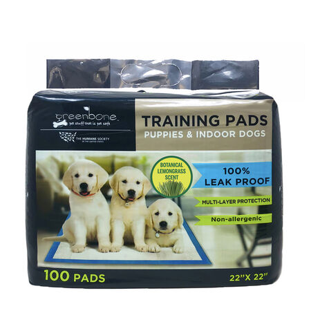 Four Paws No Worries Plastic Training Pads 100 pk