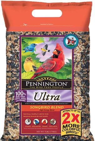 Penn Ultra Songbird 7 lb