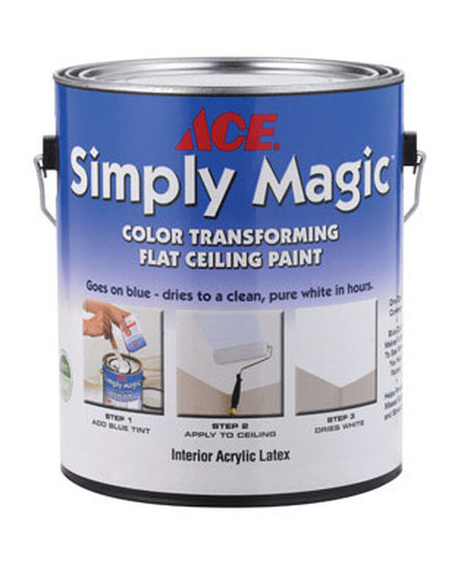 Ace Simply Magic Flat Latex Low Voc Ceiling White Disappearing Blue Ace Simply Magic Flat Latex Low Voc Ceiling White Disappearing Blue 1 Gal Paint Stine Home Yard The Family You Can Build Around