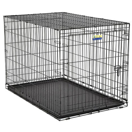 Pet Essentials Medium Steel Dog Crate Black 26 in. H X 24 in. W X 36 in. D