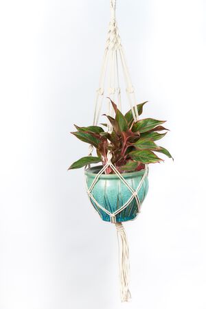 Primitive Planters Cotton Woven Plaid Cord Plant Hanger - 42 in. - Natural