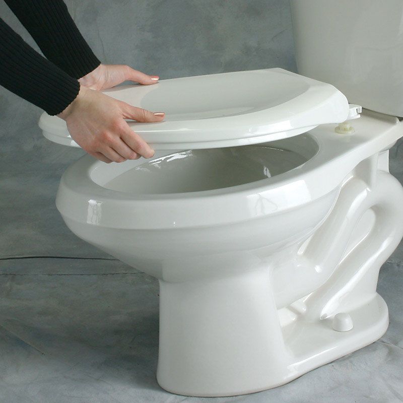 Mayfair Vinyl Cushioned Toilet Seat Elongated White Stine Home + Yard