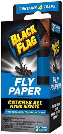 BF Fly Paper 4PK