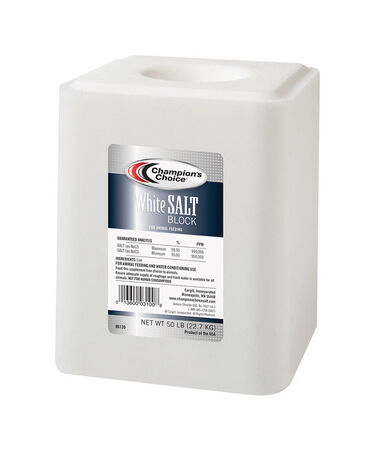 Champions Choice Salt Block