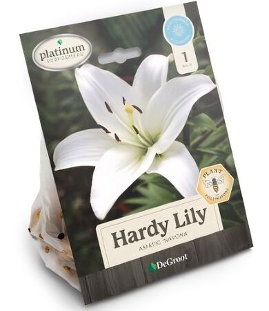 Plant DeGroot Lily Bulb Asiatic Navona Mixed 1pk