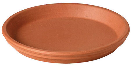 Deroma 6 in. D Clay Traditional Plant Saucer Terracotta