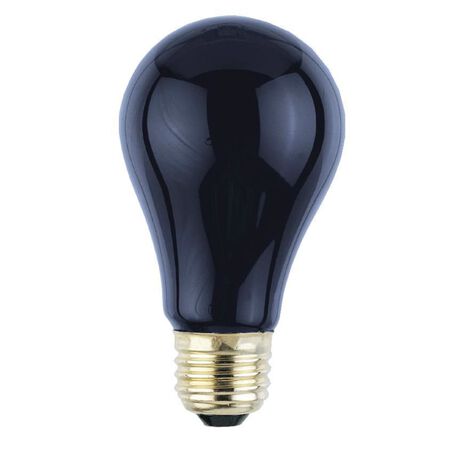 Westinghouse 75 W A19 A-Line Incandescent Bulb E26 (Medium) Black Light 1 pk