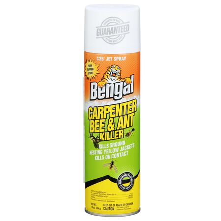 Bengal 97199 Carpenter Bee and Ant Killer