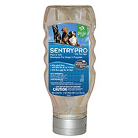 Sergeant's 01987 Pet Shampoo