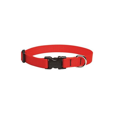 LupinePet Basic Solids Red Red Nylon Dog Adjustable Collar