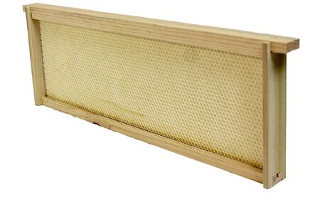 Harvest Lane Honey Bee Hive Foundation, Plastic/Wood, For: 6-7/8 in. Medium Honey Super Boxes