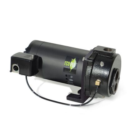 Ecoflo Cast Iron Deep Well Pump 3/4 hp 1200 gph 230 volts