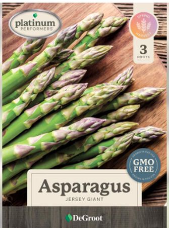 Plant DeGroot Mary Washington Asparagus Bulb 4 pk