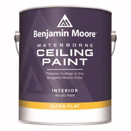 Benjamin Moore Flat Ceiling Paint Interior 1 gal