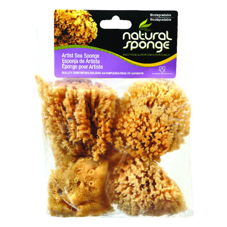 Armaly ProPlus 4 in. L Beige Natural Sponge Faux/Artist Natural Sea Sponge