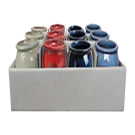Trendspot 4 in. D Ceramic Planter Assorted