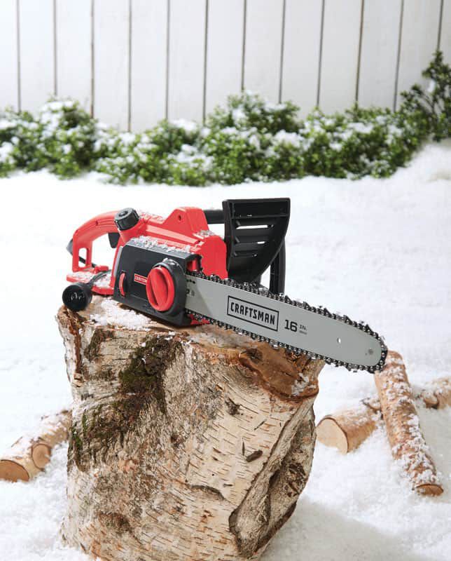 Craftsman 16 in. Electric Chainsaw Stine Home + Yard The Family You