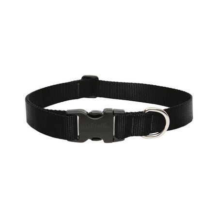 LupinePet Basic Solids Black Black Nylon Dog Adjustable Collar