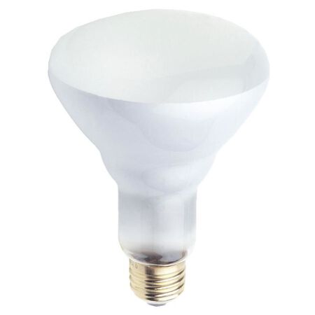 Westinghouse 65 W BR30 Spotlight Incandescent Bulb E26 (Medium) White 1 pk