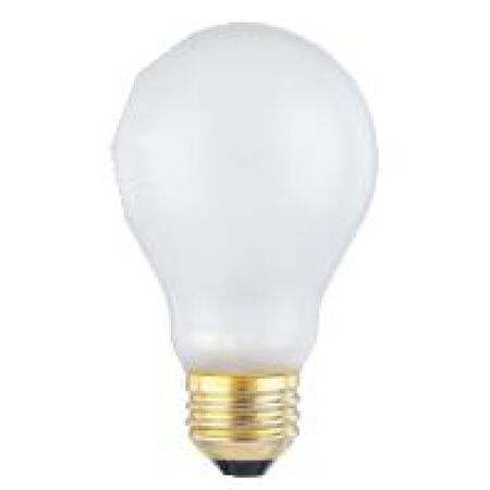 Westinghouse Toughshell 75 W A19 Decorative Incandescent Bulb E26 (Medium) Warm White 1 pk