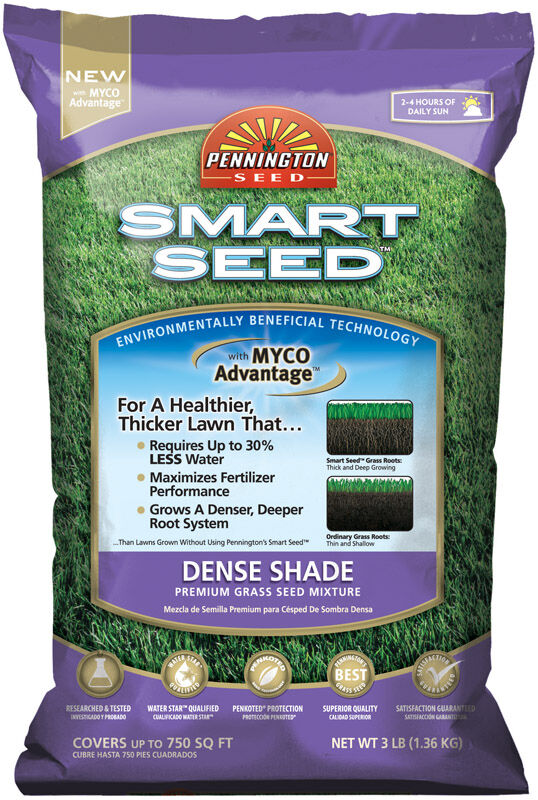 Pennington Smart Seed Dense Shade Dense Shade Grass Seed 3 lb. Stine