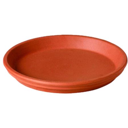 Deroma 1 in. H X 6.75 in. D Clay Traditional Plant Saucer Terracotta