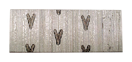 Senco 1 in. L 23 Ga. Galvanized Straight Strip Pins 2 600 pk