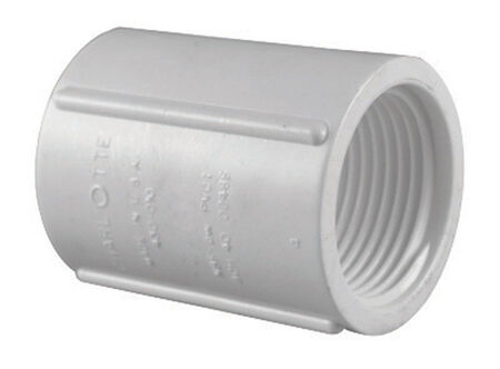Charlotte Pipe Schedule 40 1/2 in. FPT X 1/2 in. D FPT PVC Coupling 1 pk