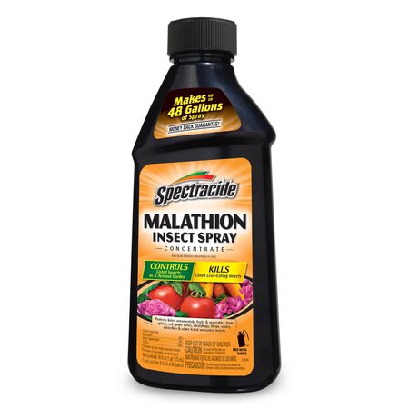 Spectracide Malathion Insect Killer Liquid Concentrate 16 oz