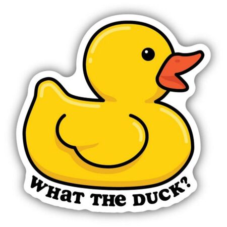 Sticker Northwest WHAT THE DUCK RUBBER DUCK STICKER