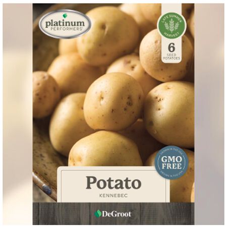 Seed DeGroot Potato Kennebec 1062